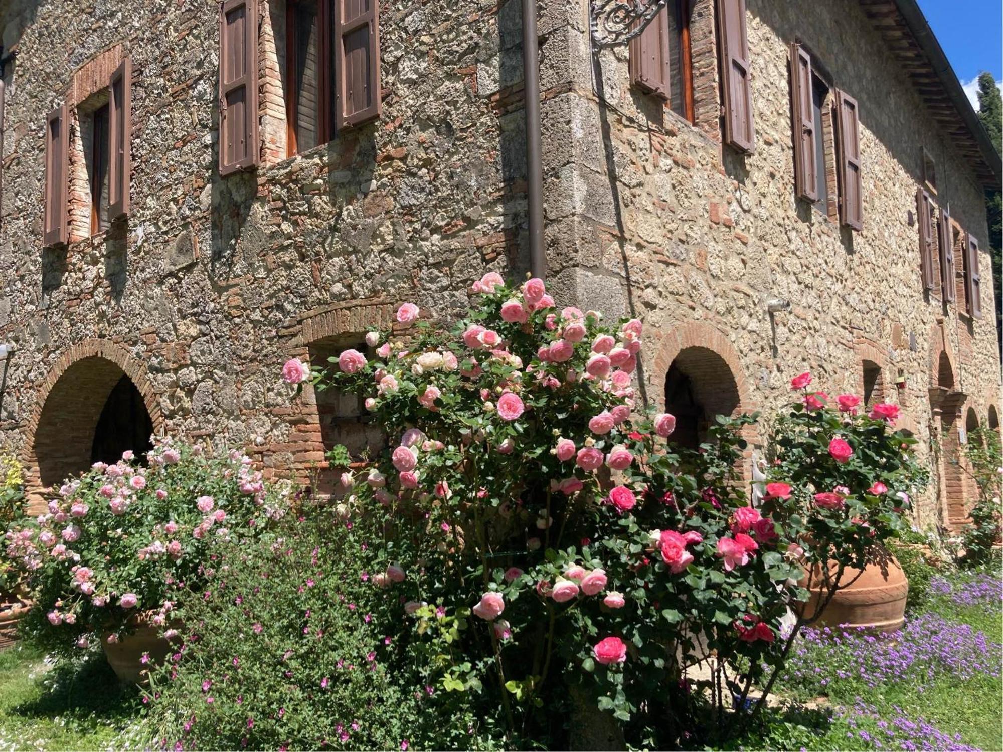 Agriturismo Il Caio Cetona Exterior foto