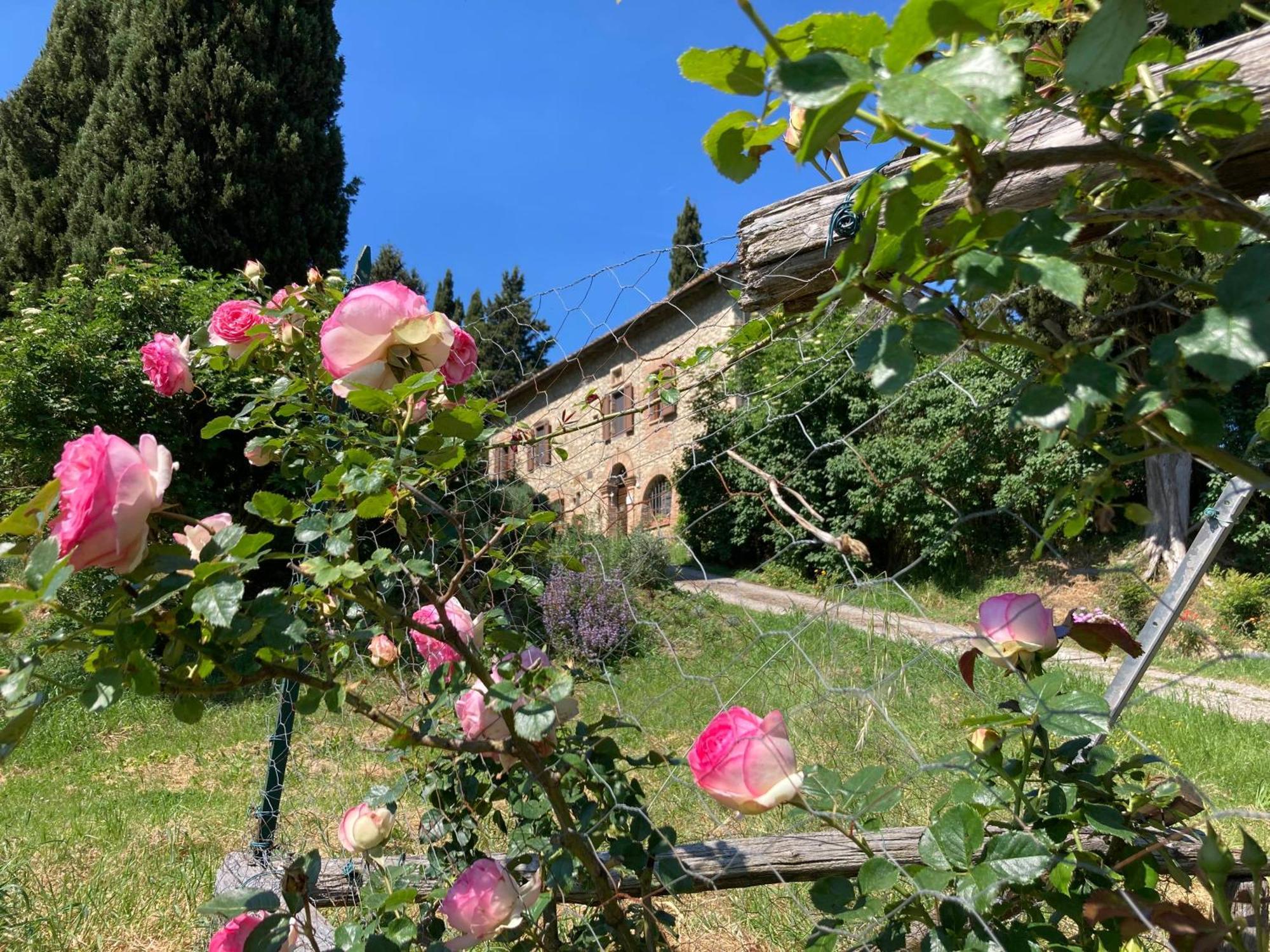 Agriturismo Il Caio Cetona Exterior foto